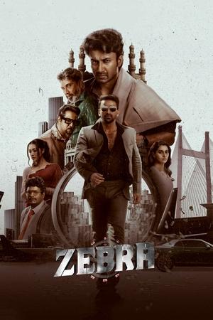 Zebra 2024 Hindi Dubbed CAMRip 1080p